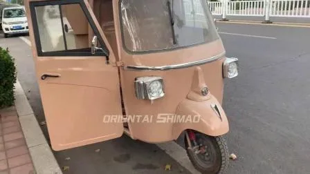 Camión de comida eléctrico de alta calidad con scooter de tres ruedas para café